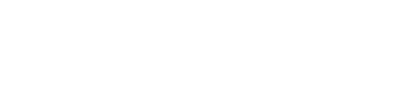 light logo
