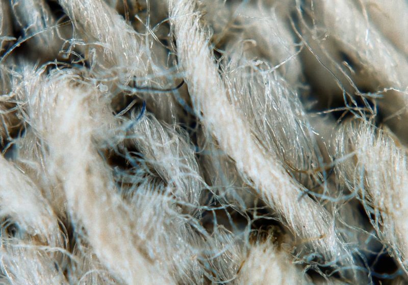 Natural wool fibres close-up